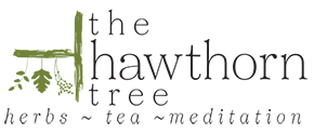 The Hawthorn Tree Logo